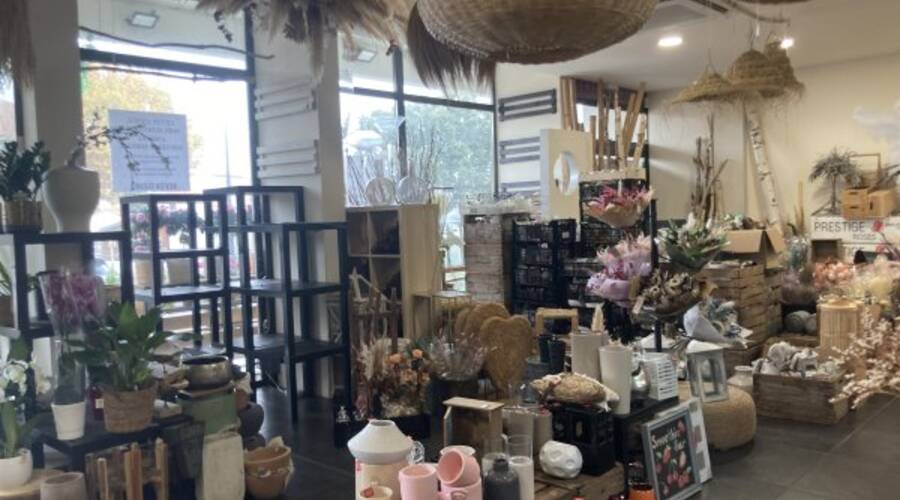 REXIM - Local d'activités - Pyrénées-Orientales - Cabestany - 1