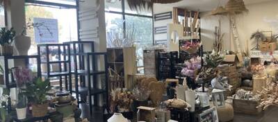 REXIM - Local d'activités - Pyrénées-Orientales - Cabestany - 1