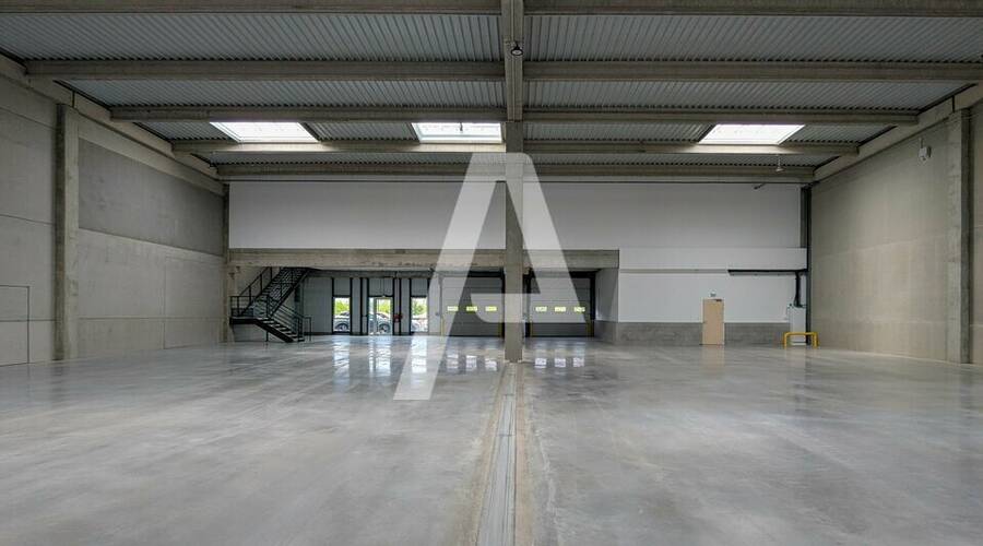 REXIM - Entrepôt - Yvelines - Élancourt - 4