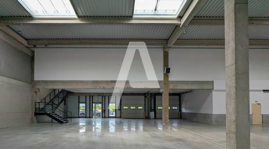 REXIM - Entrepôt - Yvelines - Élancourt - 8