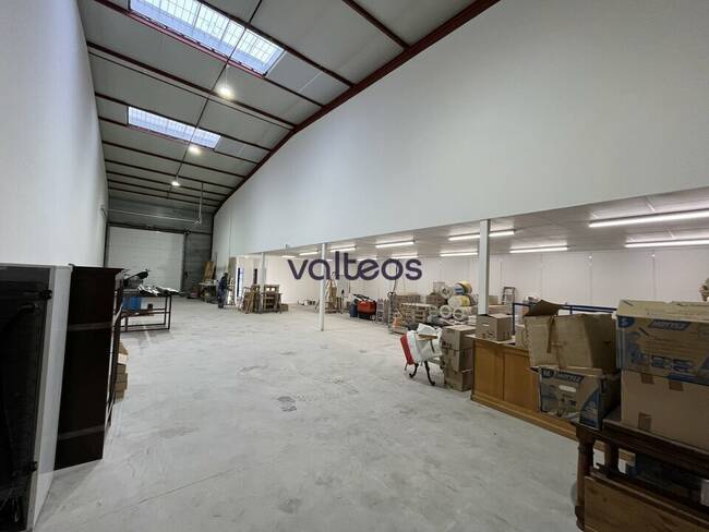 REXIM - Local d'activités - Haute-Garonne - Toulouse - 1