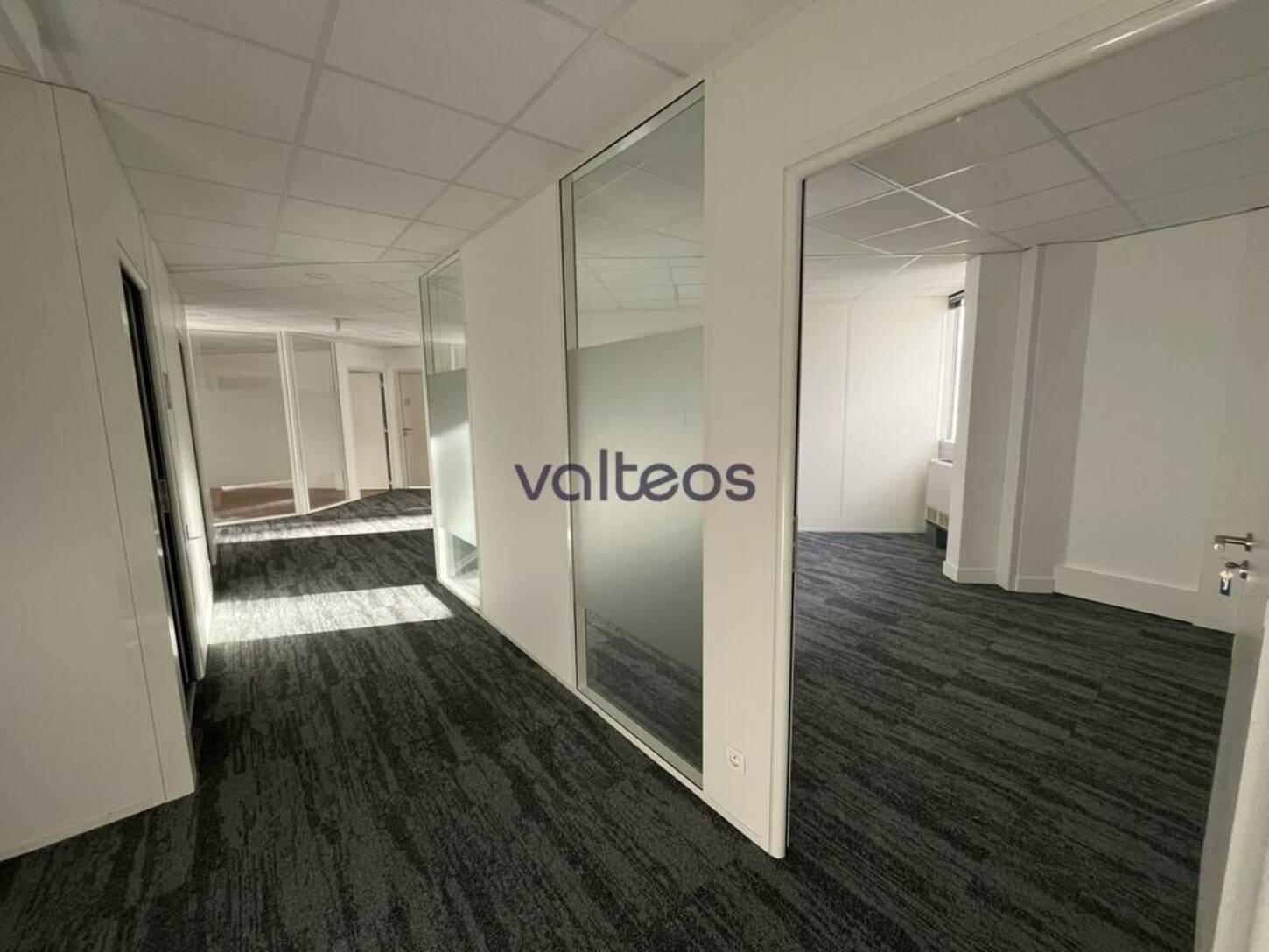 REXIM - Bureau - Haute-Garonne - Blagnac - 2