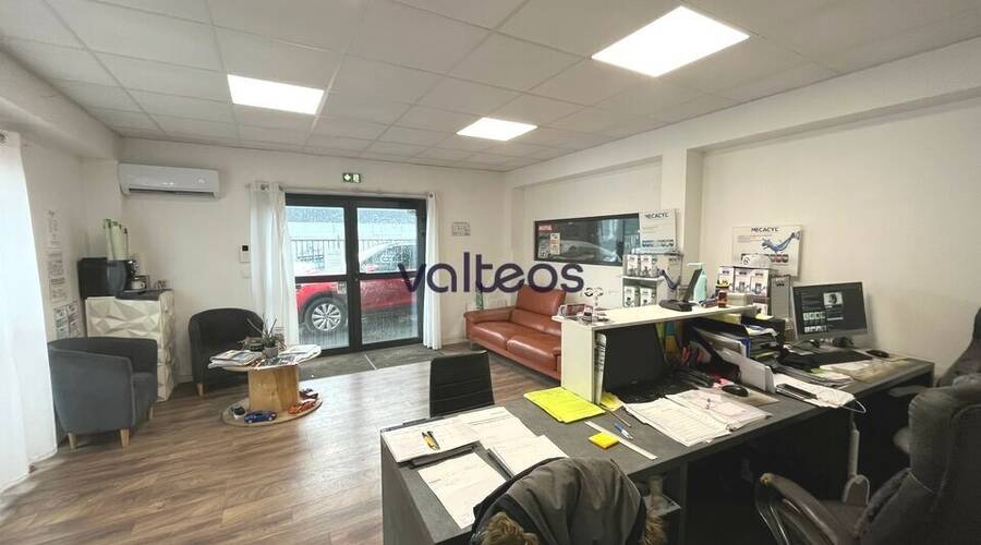 REXIM - Local d'activités - Haute-Garonne - Plaisance-du-Touch - 2