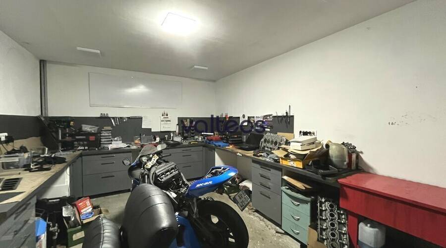 REXIM - Local d'activités - Haute-Garonne - Plaisance-du-Touch - 3