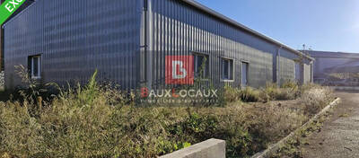REXIM - Local d'activités - Bouches-du-Rhône - Fos-sur-Mer - 3