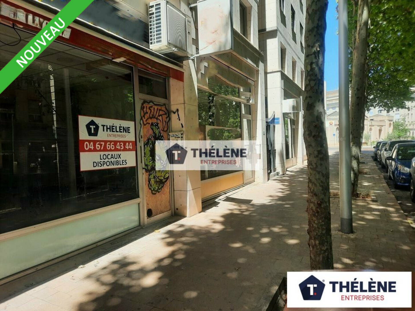 REXIM - Local commercial - Hérault - Montpellier - 2