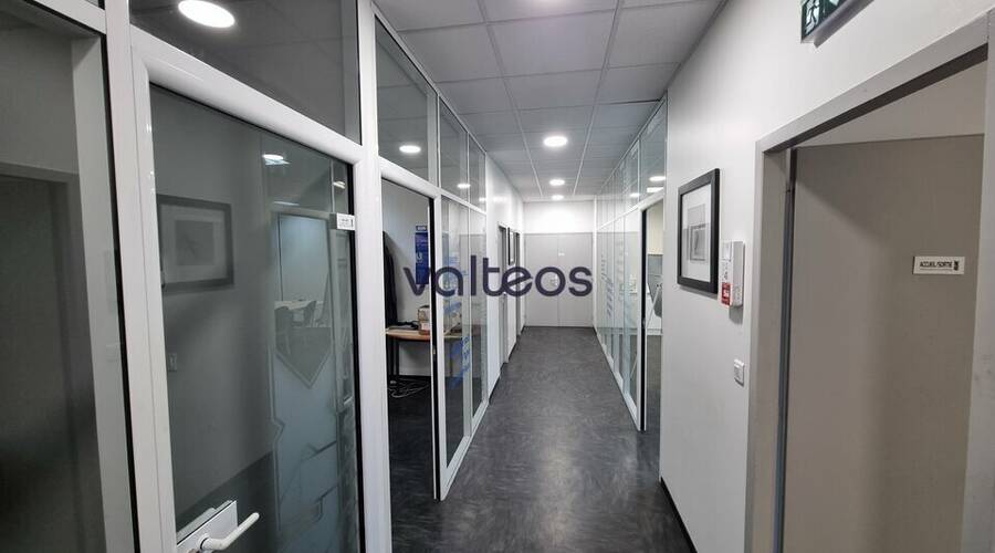 REXIM - Local d'activités - Haute-Garonne - Montrabé - 3