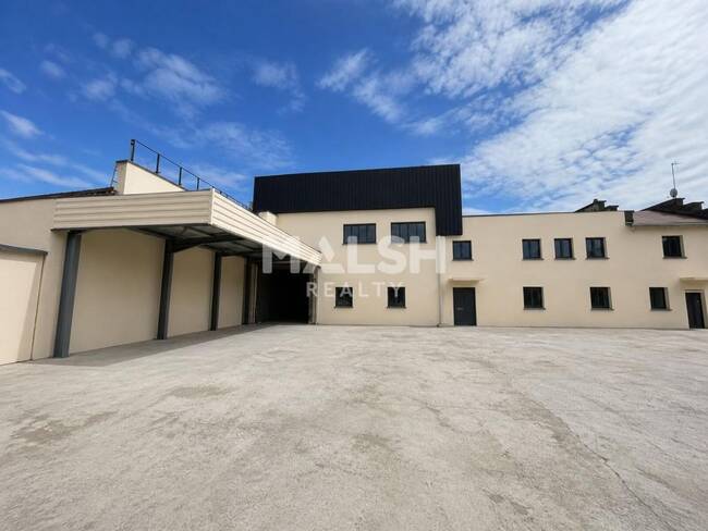 REXIM - Local d'activités - Rhône - Villeurbanne - 1