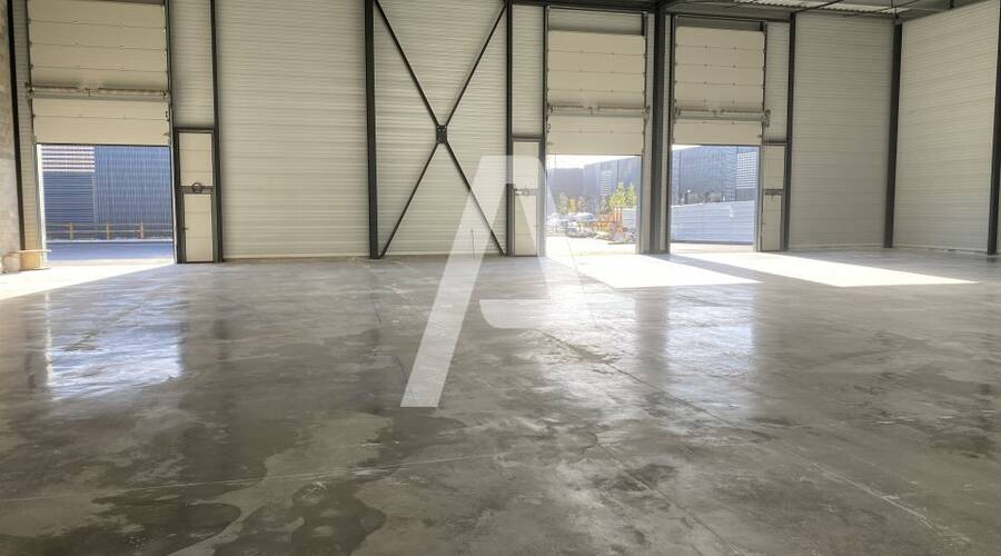 REXIM - Entrepôt - Villebon-sur-Yvette - 7