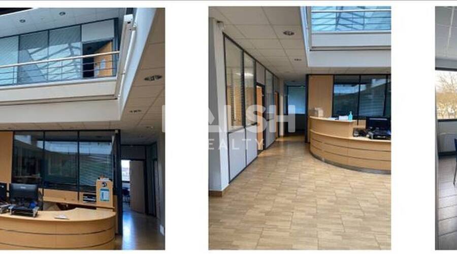 REXIM - Local d'activités - Rhône - Chaponost - 10