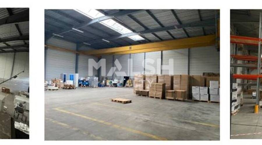 REXIM - Local d'activités - Rhône - Chaponost - 11