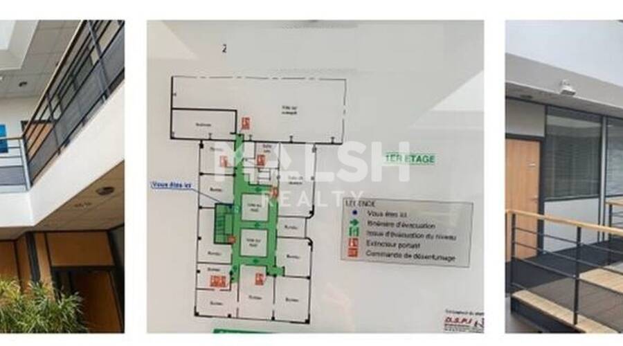 REXIM - Local d'activités - Rhône - Chaponost - 12