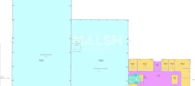 REXIM - Local d'activités - Rhône - Chaponost - 16