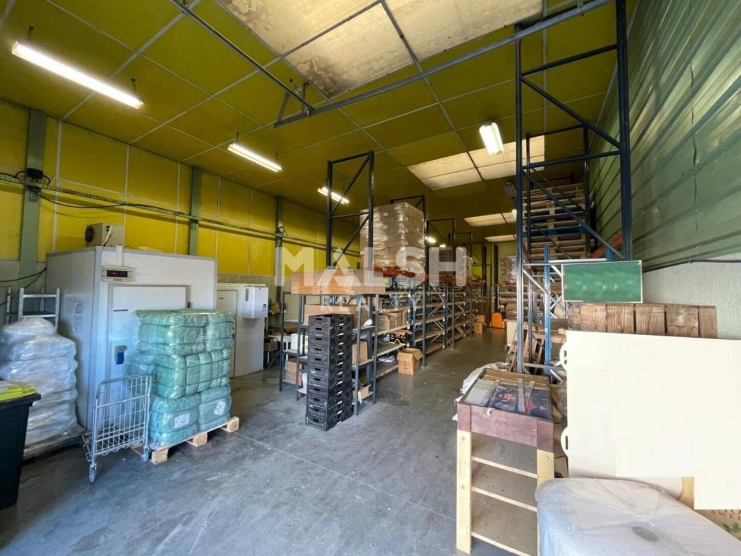 REXIM - Local d'activités - Rhône - Villeurbanne - 2