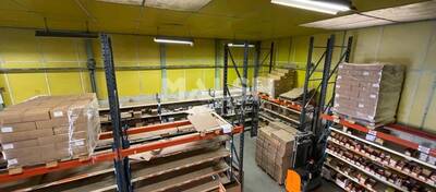 REXIM - Local d'activités - Rhône - Villeurbanne - 3