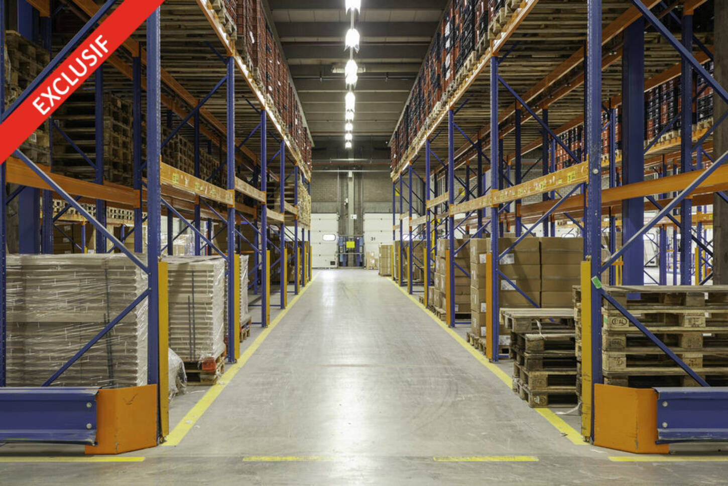 REXIM - Entrepôt - Collégien - 2