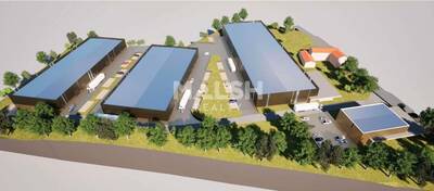 REXIM - Local d'activités - Ain - Jassans-Riottier - 3