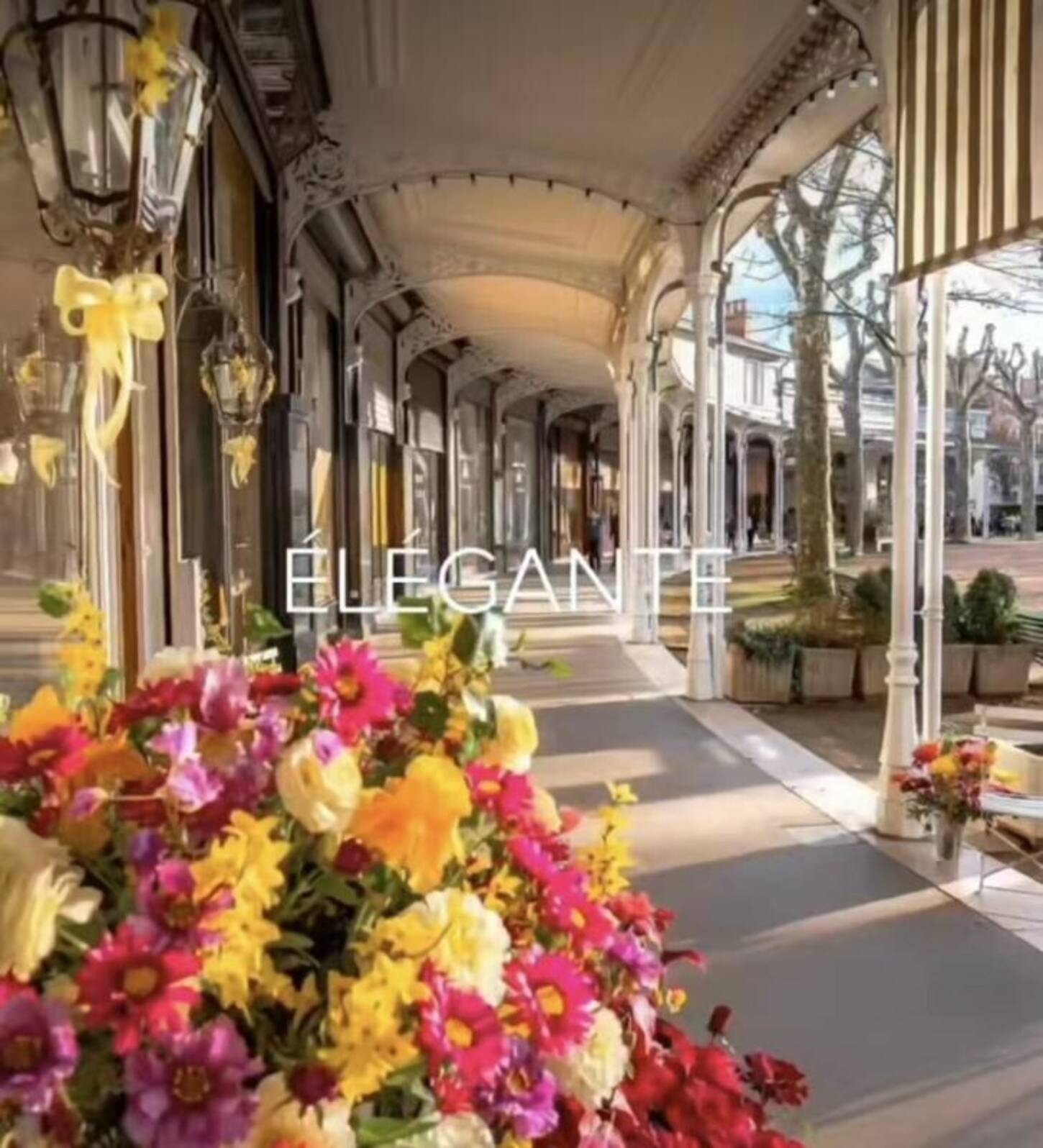 REXIM - Local commercial - Allier - Vichy - 2