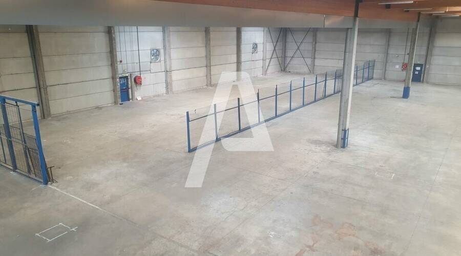 REXIM - Entrepôt - Saint-Thibault-des-Vignes - 1