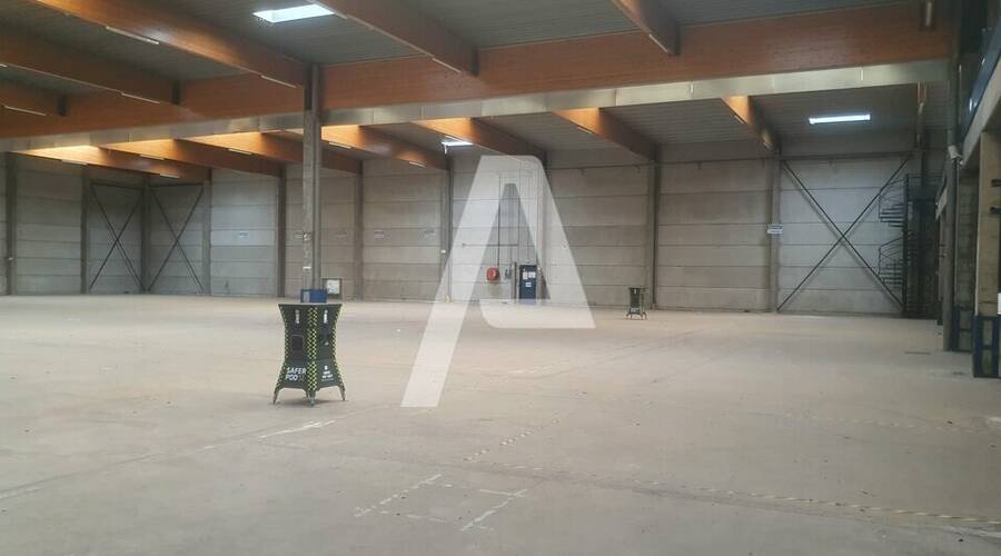 REXIM - Entrepôt - Saint-Thibault-des-Vignes - 8