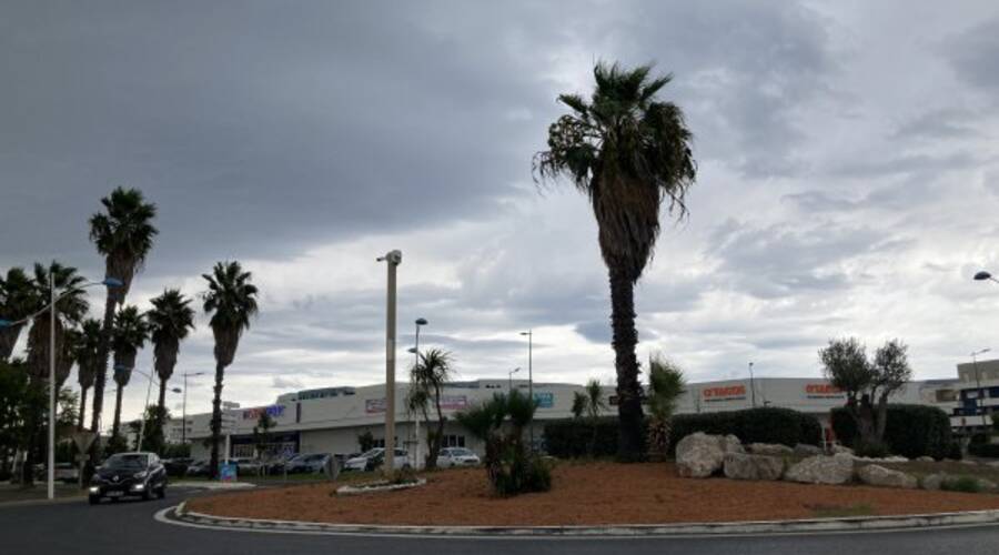 REXIM - Local d'activités - Pyrénées-Orientales - Canet-en-Roussillon - 2