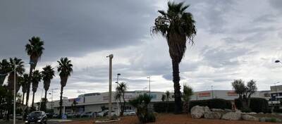 REXIM - Local d'activités - Pyrénées-Orientales - Canet-en-Roussillon - 2