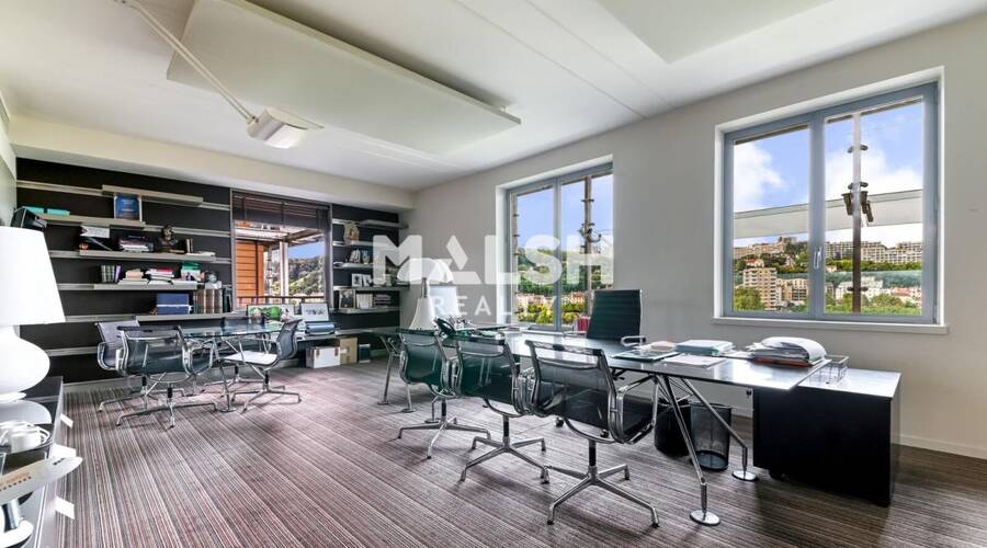 REXIM - Bureau - Rhône - Lyon - 6