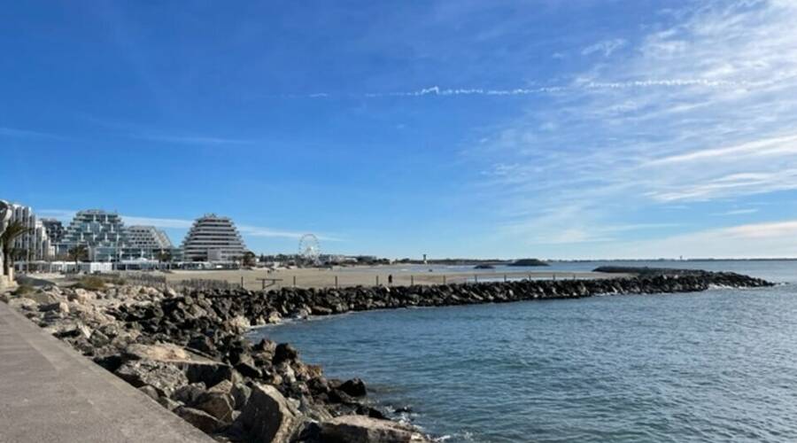 REXIM - Local commercial - Hérault - Grande-Motte - 3