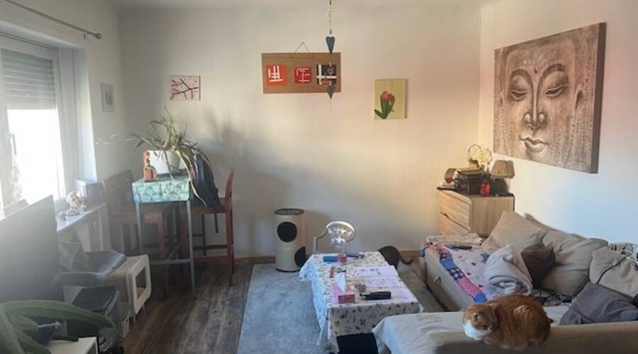 REXIM - Résidentiel - Haut-Rhin - Wittenheim - 7