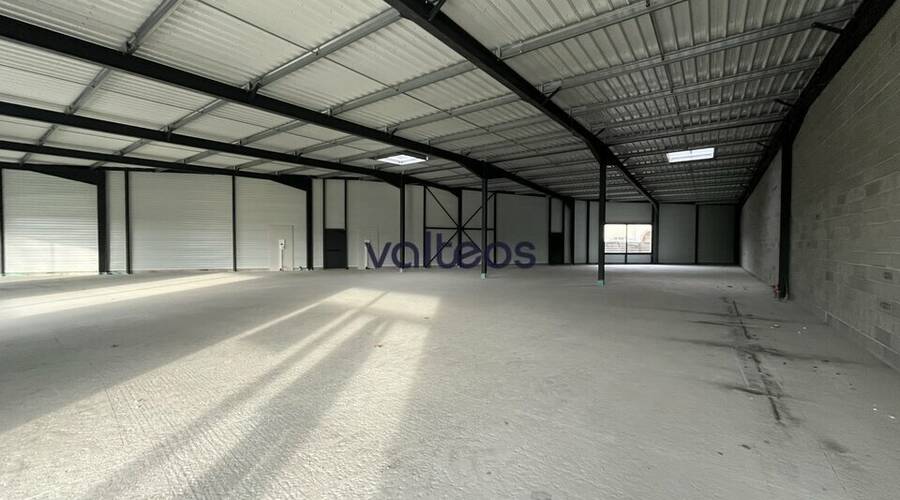 REXIM - Local d'activités - Haute-Garonne - Merville - 2