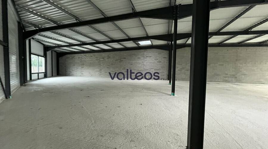 REXIM - Local d'activités - Haute-Garonne - Merville - 3