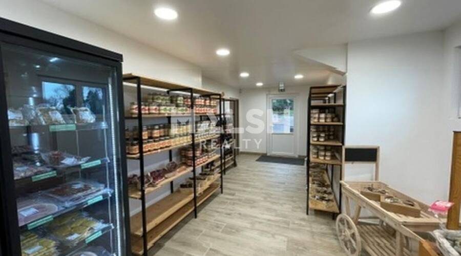 REXIM - Local d'activités - Loire - Saint-Haon-le-Vieux - 5