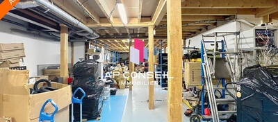 REXIM - Local d'activités - Yvelines - Croissy-sur-Seine - 3