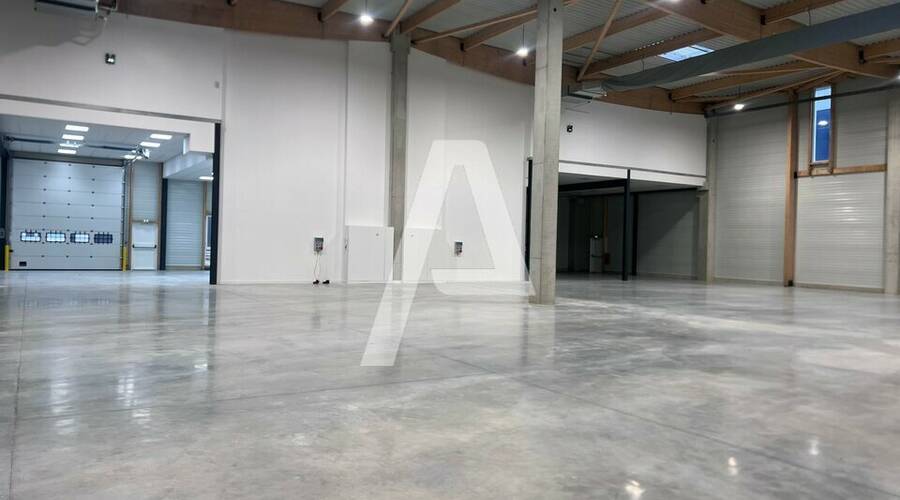 REXIM - Entrepôt - Moissy-Cramayel - 1