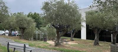 REXIM - Bureau - Haute-Garonne - Colomiers - 2