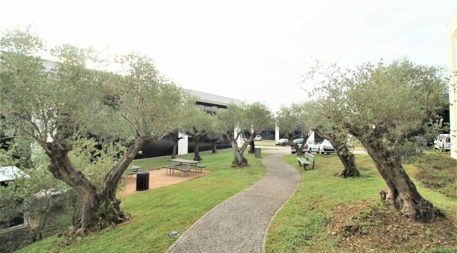 REXIM - Bureau - Haute-Garonne - Colomiers - 6