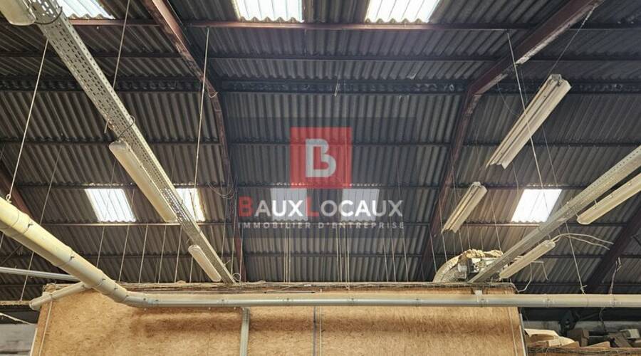 REXIM - Local commercial - Vaucluse - Thor - 5