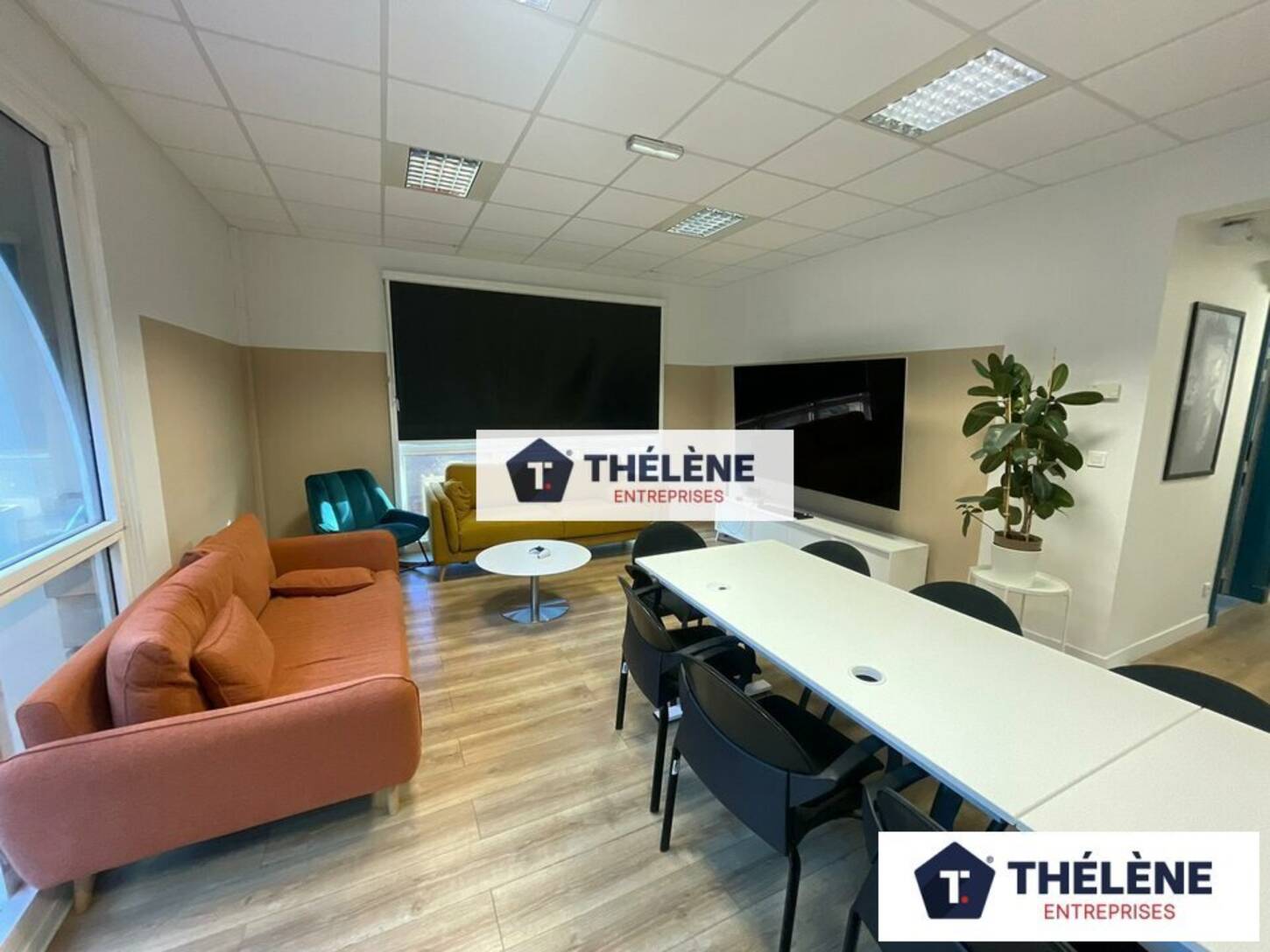 REXIM - Bureau - Hérault - Montpellier - 2