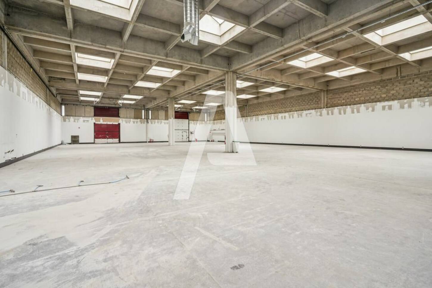 REXIM - Entrepôt - Rungis - 2