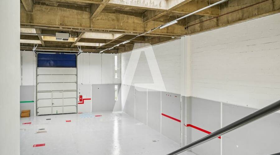 REXIM - Entrepôt - Rungis - 1