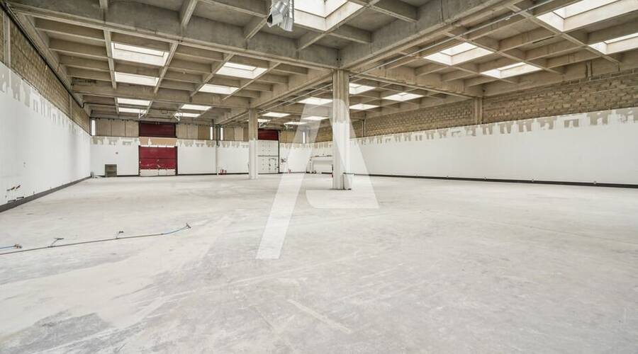 REXIM - Entrepôt - Rungis - 3