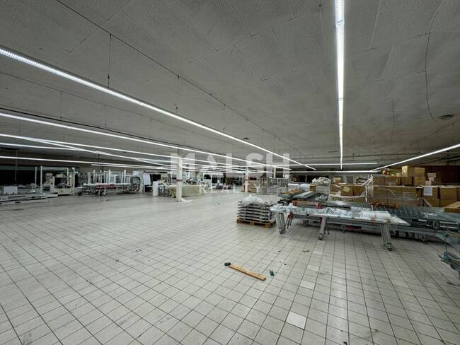 REXIM - Local d'activités - Loire - Saint-Étienne - 1