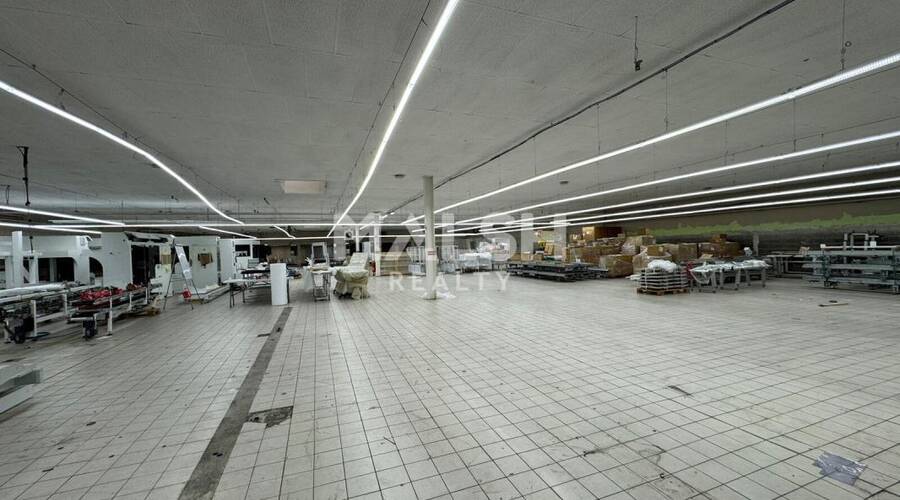 REXIM - Local d'activités - Loire - Saint-Étienne - 2