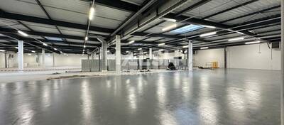 REXIM - Local d'activités - Rhône - Caluire-et-Cuire - 4