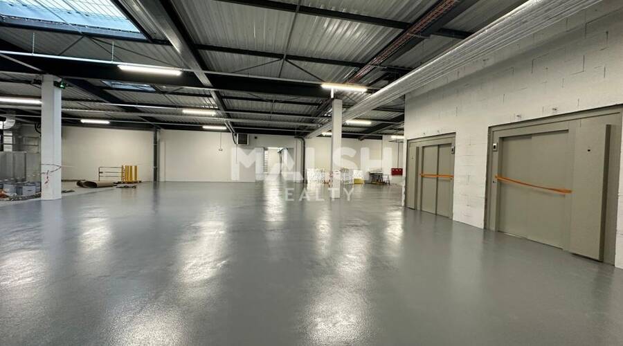 REXIM - Local d'activités - Rhône - Caluire-et-Cuire - 6