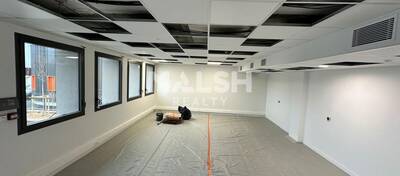 REXIM - Local d'activités - Rhône - Caluire-et-Cuire - 12