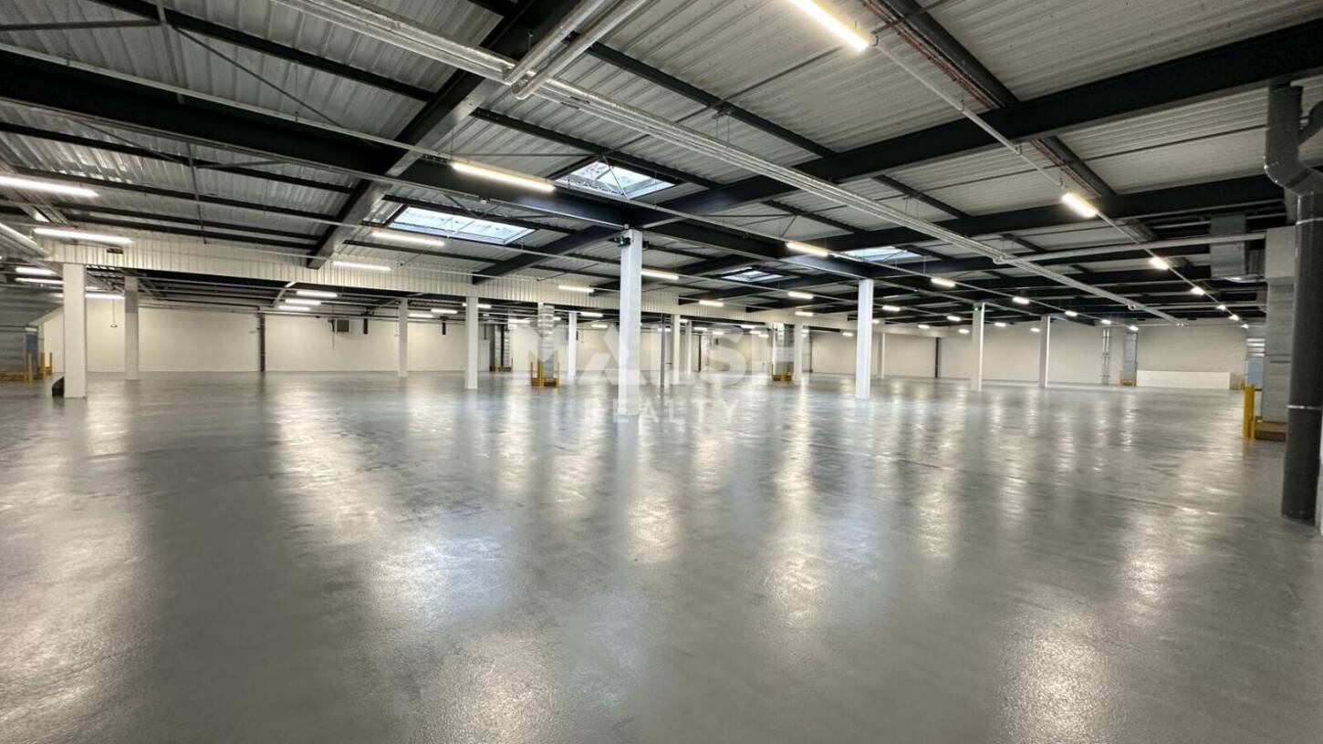 REXIM - Local d'activités - Rhône - Caluire-et-Cuire - 2