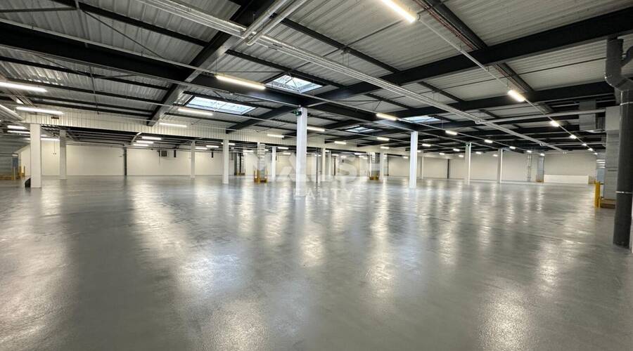 REXIM - Local d'activités - Rhône - Caluire-et-Cuire - 2