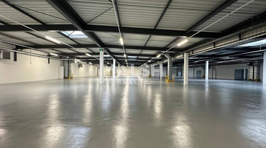 REXIM - Local d'activités - Rhône - Caluire-et-Cuire - 3