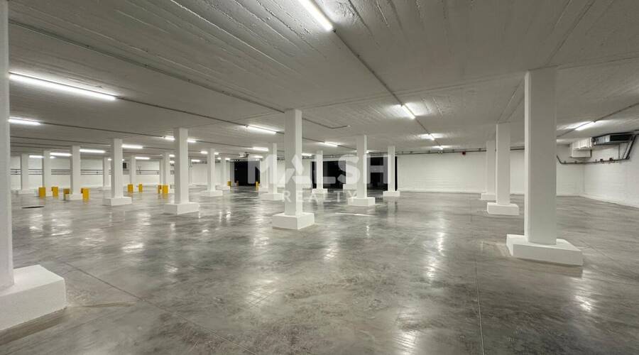 REXIM - Local d'activités - Rhône - Caluire-et-Cuire - 6